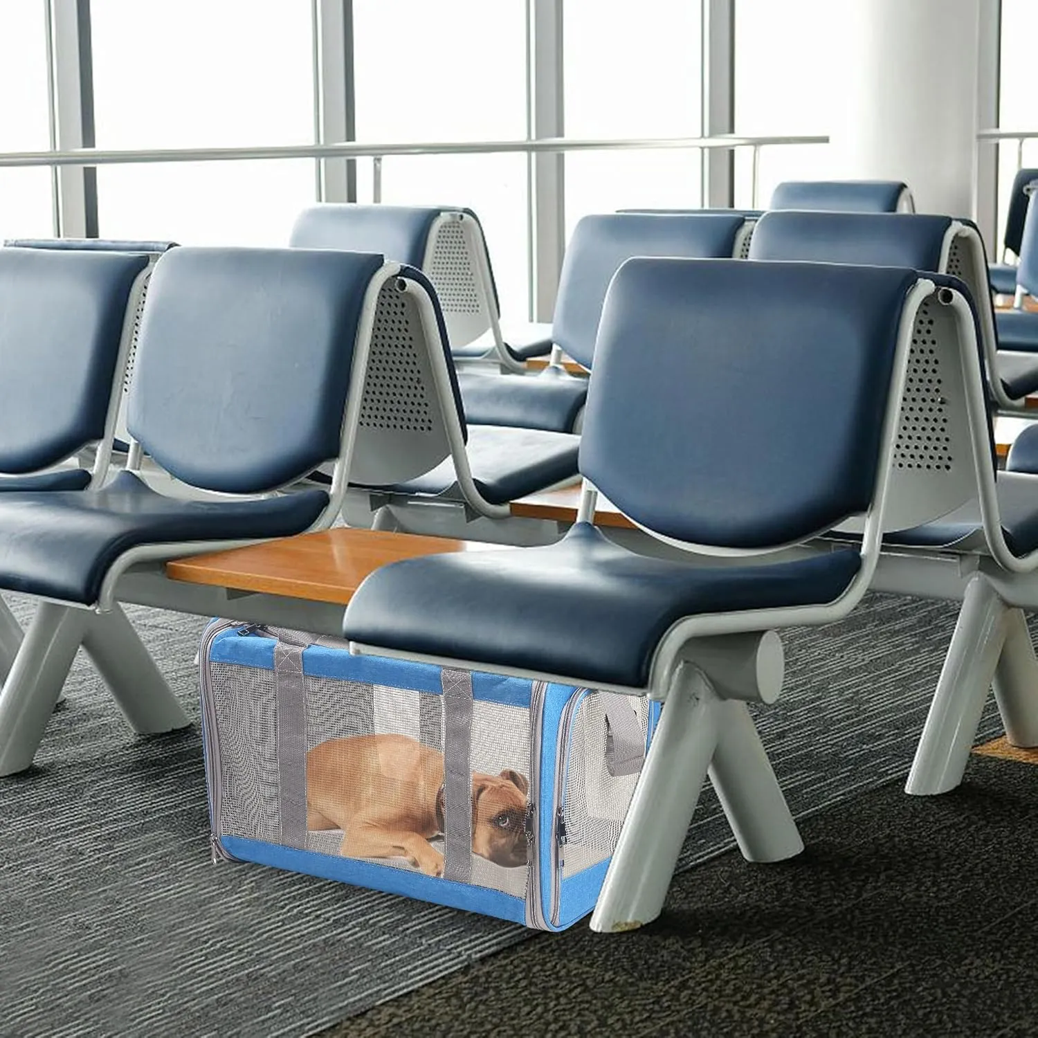ATVobi Portable Cat Carrier for Small to Large Cats - Soft, Airline Approved, Blue