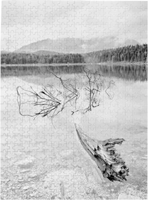 Driftwood Pattern,Puzzle Board,Portable Wooden Jigsaw Puzzle for Adults,Branch of Fallen Tree in The Lake,Birthday Gift for Family and Friends,Pale Grey Plastic Box Storage 500PCS