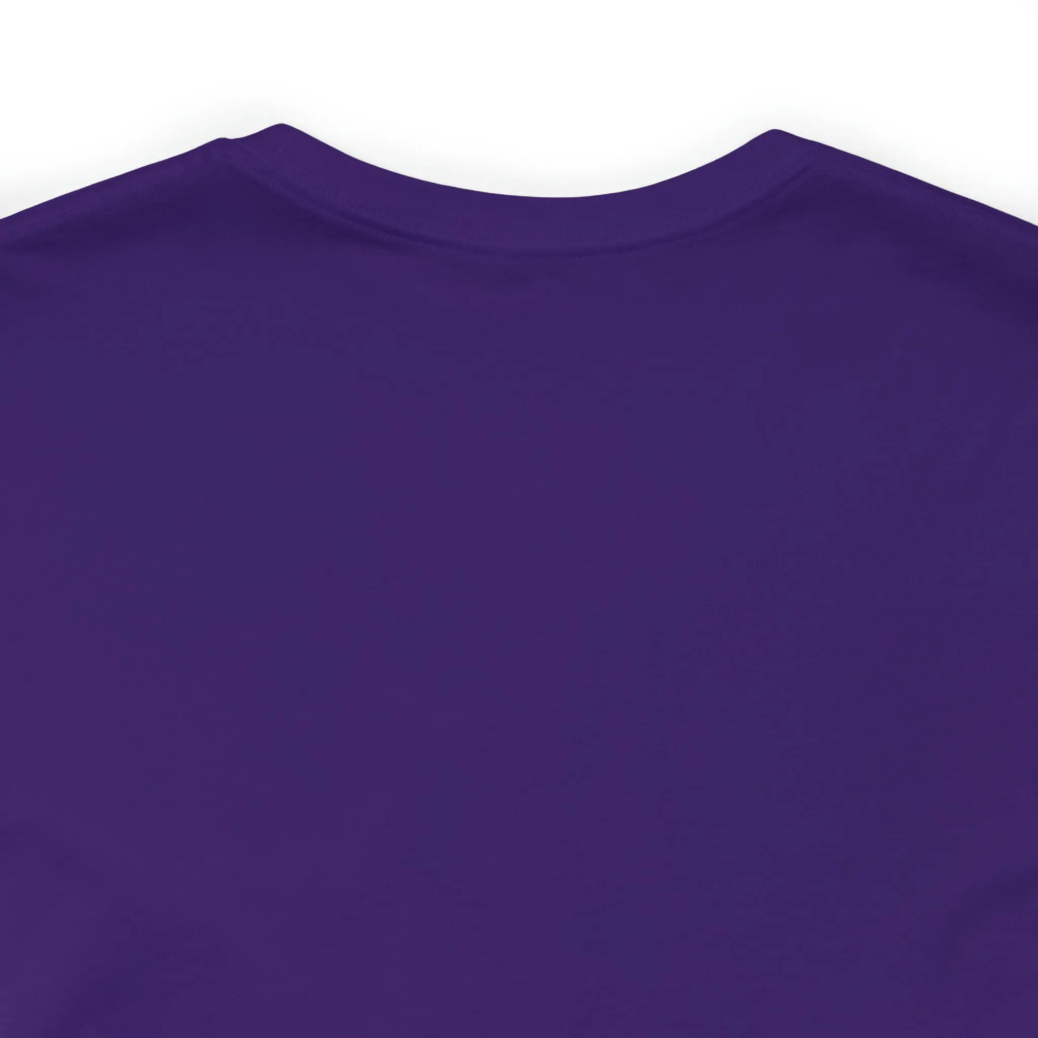 Minimalist Audiologist Script T-shirt