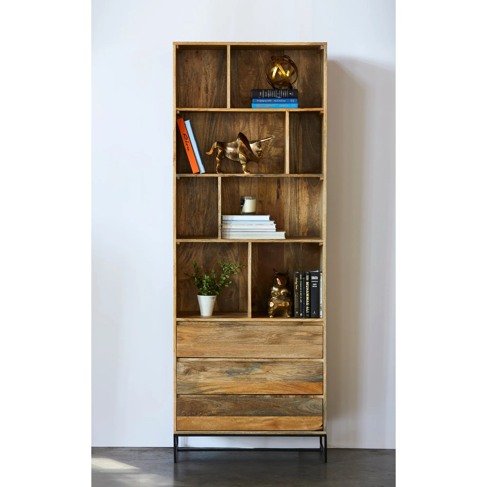 Modern Mango Wood Storage Unit