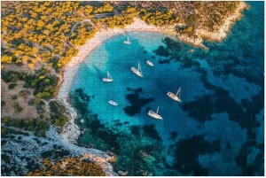Puzzles for Adults 1000 Pieces Aerial View Aquarium Bay Bodrum Wooden Jigsaw Puzzles Challenging Fun Educational Family Games Kid Toys Art Work Gift Home Decor