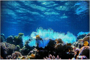 Puzzles for Adults 1000 Pieces Amazing Underwater Tropical Fishes Wooden Jigsaw Puzzles Challenging Fun Educational Family Games Kid Toys Art Work Gift Home Decor