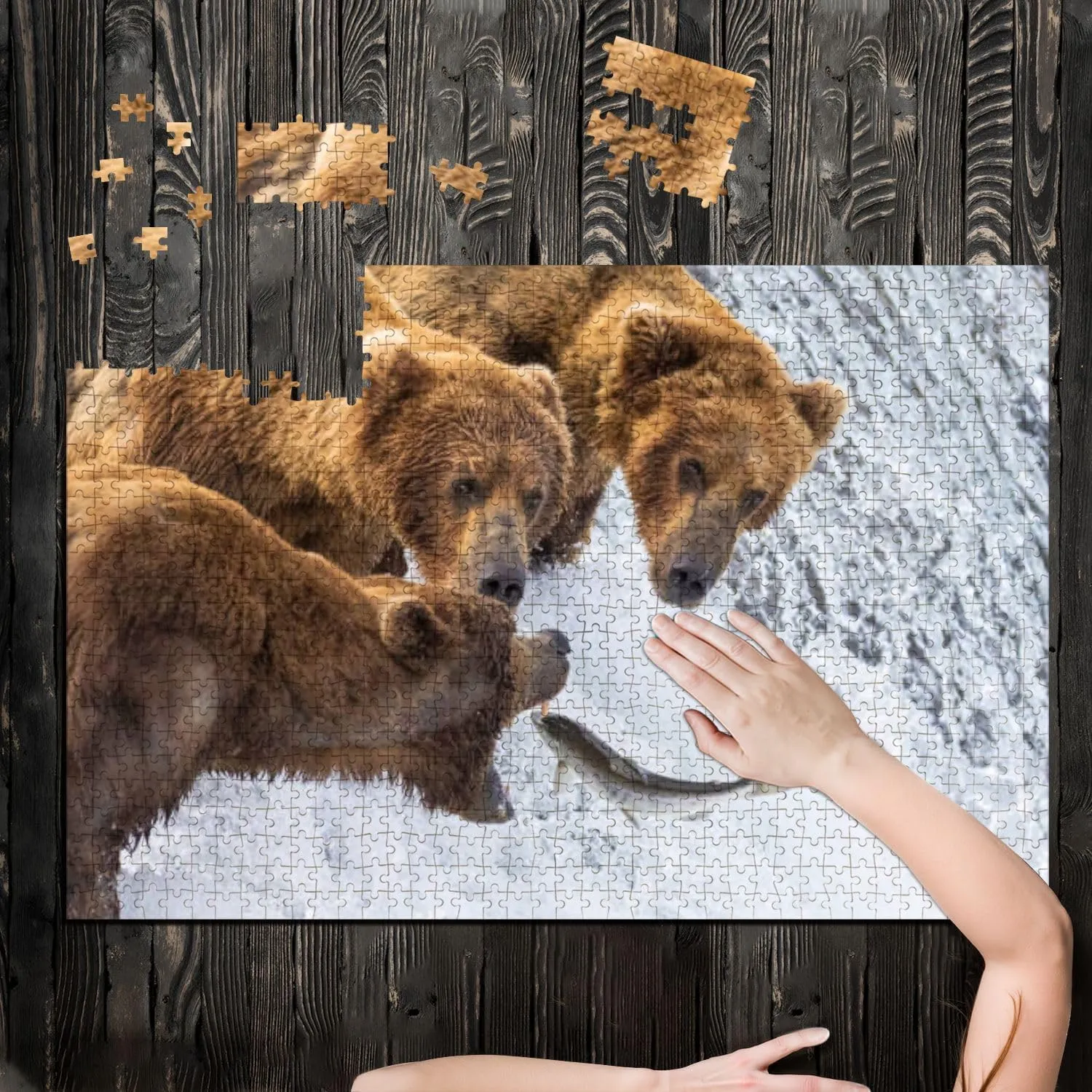Puzzles for Adults 1000 Pieces Coastal Brown Bear Fishing Katmai Wooden Jigsaw Puzzles Challenging Fun Educational Family Games Kid Toys Art Work Gift Home Decor