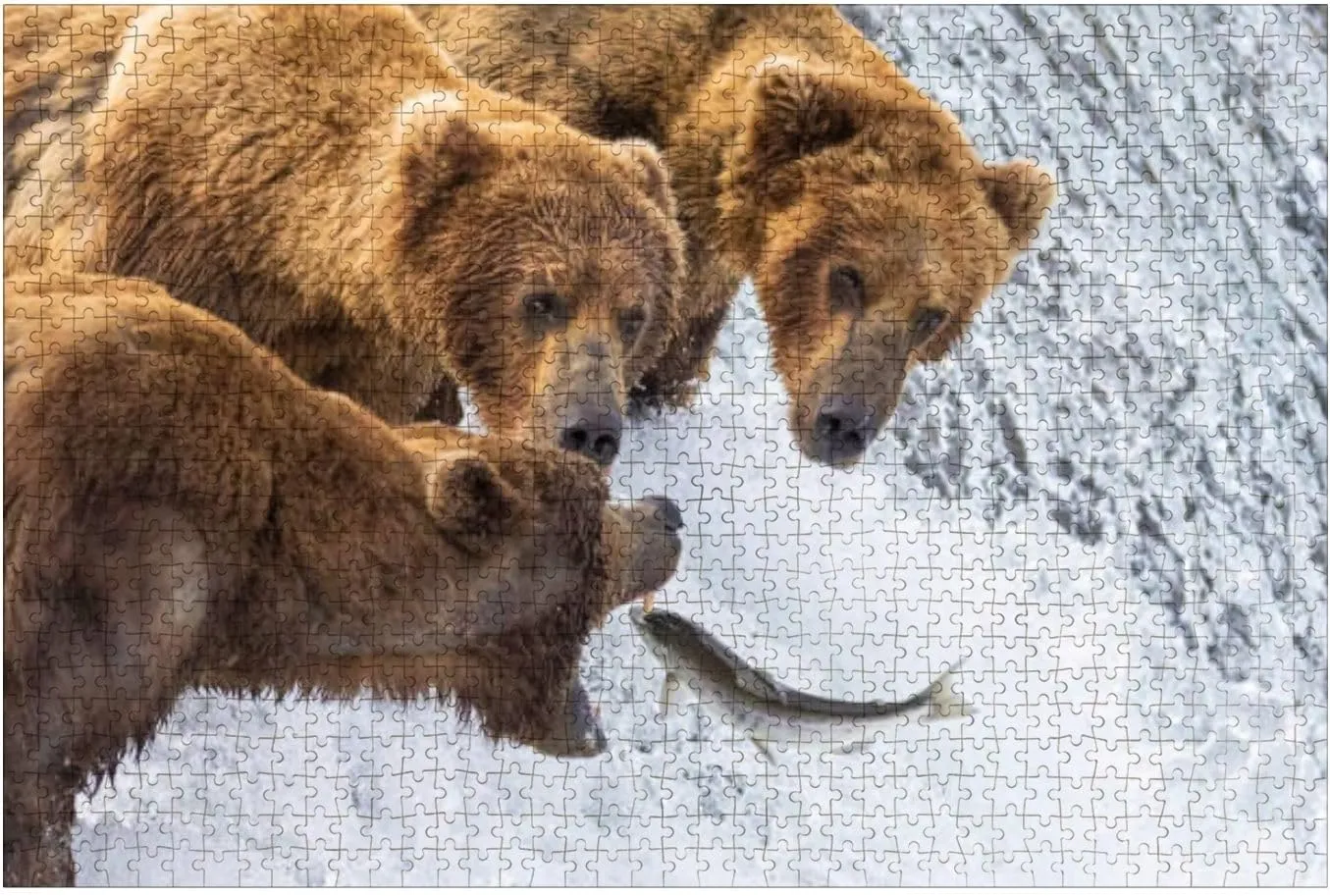 Puzzles for Adults 1000 Pieces Coastal Brown Bear Fishing Katmai Wooden Jigsaw Puzzles Challenging Fun Educational Family Games Kid Toys Art Work Gift Home Decor