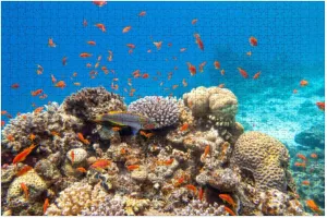 Puzzles for Adults 1000 Pieces Colorful Picturesque Coral Reef Bottom Tropical sea Hard Corals Fishes Wooden Jigsaw Puzzles Challenging Fun Educational Family Games Kid Toys Art Work Gift Home Decor