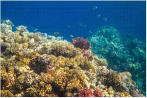 Puzzles for Adults 1000 Pieces Coral Reef Tropical Fish Sunlight Wooden Jigsaw Puzzles Challenging Fun Educational Family Games Kid Toys Art Work Gift Home Decor