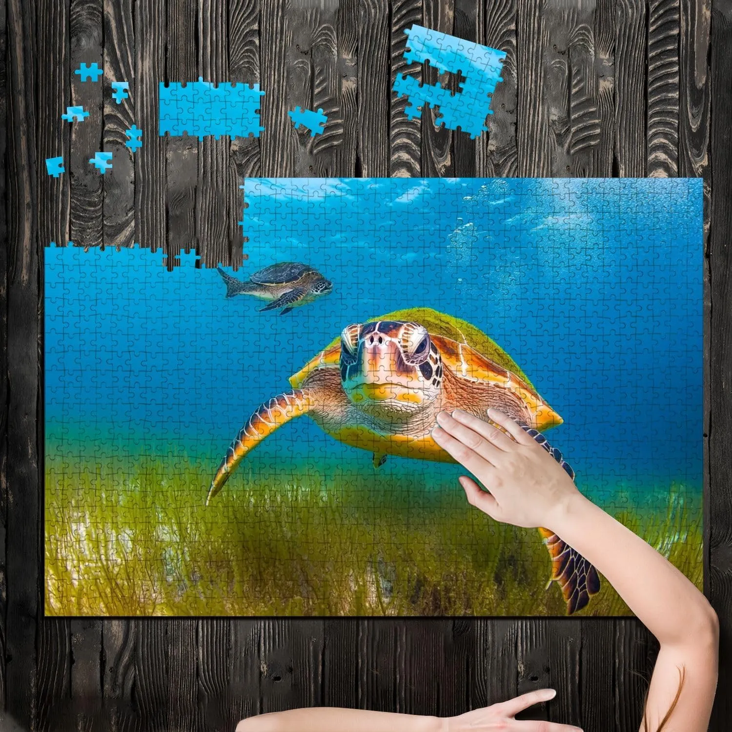 Puzzles for Adults 1000 Pieces Green Sea Turtle Fish Caribbean Sea Bay Maya Cozumel Quintana Roo Wooden Jigsaw Puzzles Challenging Fun Educational Family Games Kid Toys Art Work Gift Home Decor