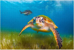 Puzzles for Adults 1000 Pieces Green Sea Turtle Fish Caribbean Sea Bay Maya Cozumel Quintana Roo Wooden Jigsaw Puzzles Challenging Fun Educational Family Games Kid Toys Art Work Gift Home Decor