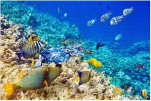 Puzzles for Adults 1000 Pieces Natural Colorful Fish Underwater Multi Color Fish Wooden Jigsaw Puzzles Challenging Fun Educational Family Games Kid Toys Art Work Gift Home Decor