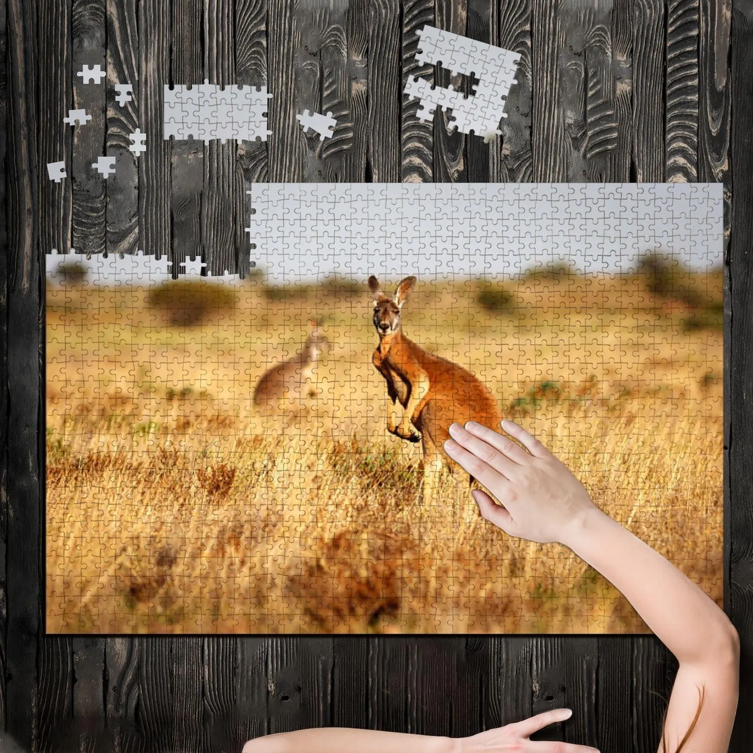 Puzzles for Adults 1000 Pieces Red Kangaroo grasslands Australian Outback Wooden Jigsaw Puzzles Challenging Fun Educational Family Games Kid Toys Art Work Gift Home Decor