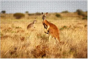 Puzzles for Adults 1000 Pieces Red Kangaroo grasslands Australian Outback Wooden Jigsaw Puzzles Challenging Fun Educational Family Games Kid Toys Art Work Gift Home Decor