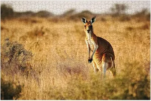 Puzzles for Adults 1000 Pieces Red Kangaroo grasslands Australian Wooden Jigsaw Puzzles Challenging Fun Educational Family Games Kid Toys Art Work Gift Home Decor