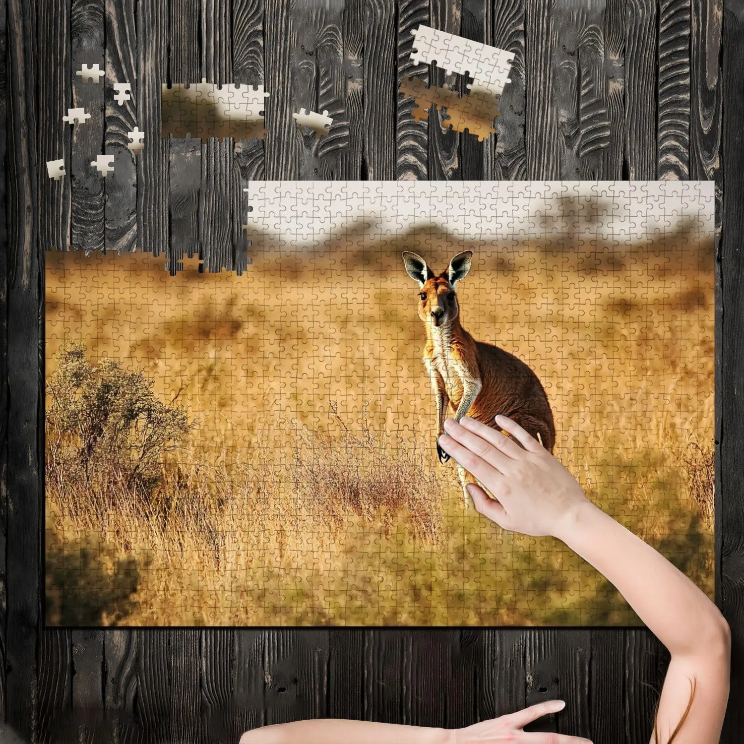 Puzzles for Adults 1000 Pieces Red Kangaroo grasslands Australian Wooden Jigsaw Puzzles Challenging Fun Educational Family Games Kid Toys Art Work Gift Home Decor