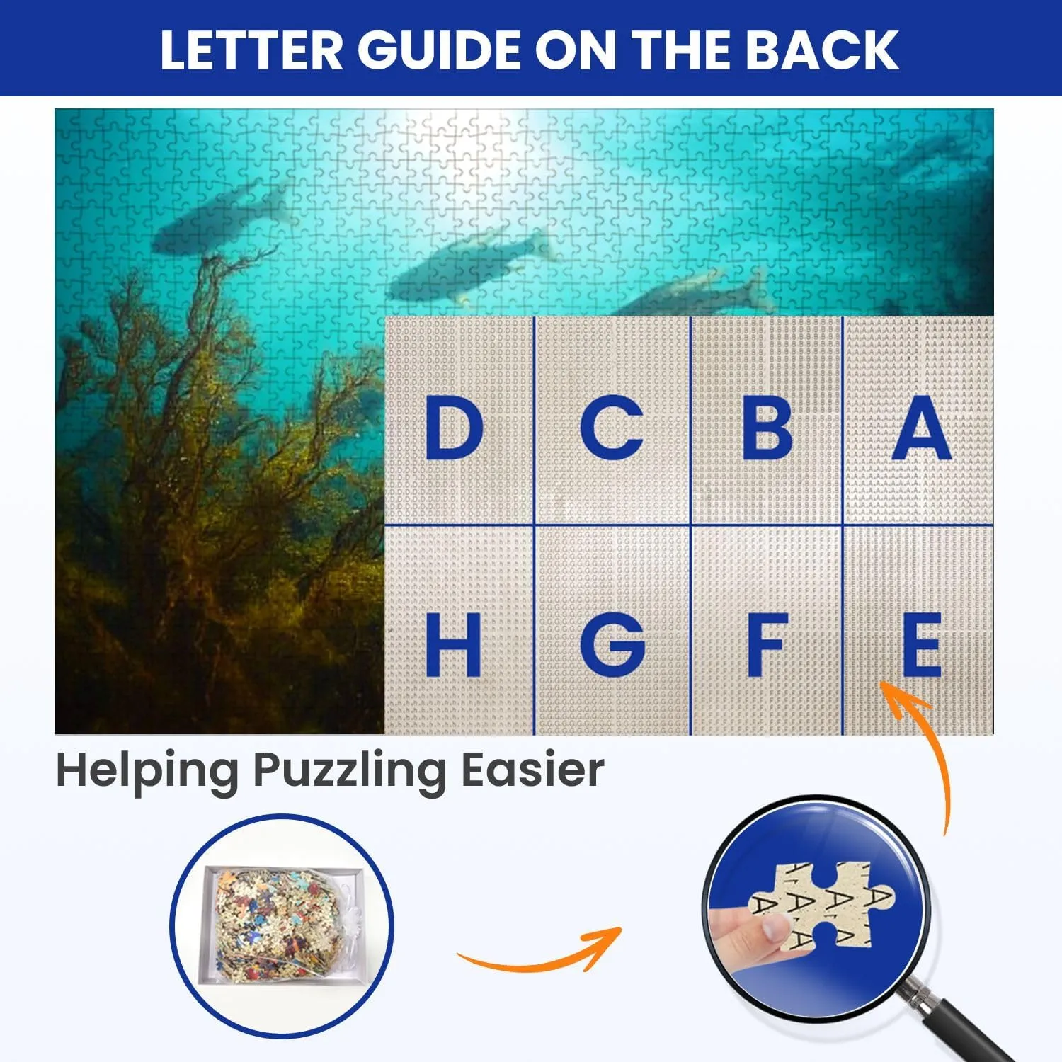Puzzles for Adults 1000 Pieces Sunlight Underwater Bogue Fish Ocean Atlantic Wooden Jigsaw Puzzles Challenging Fun Educational Family Games Kid Toys Art Work Gift Home Decor