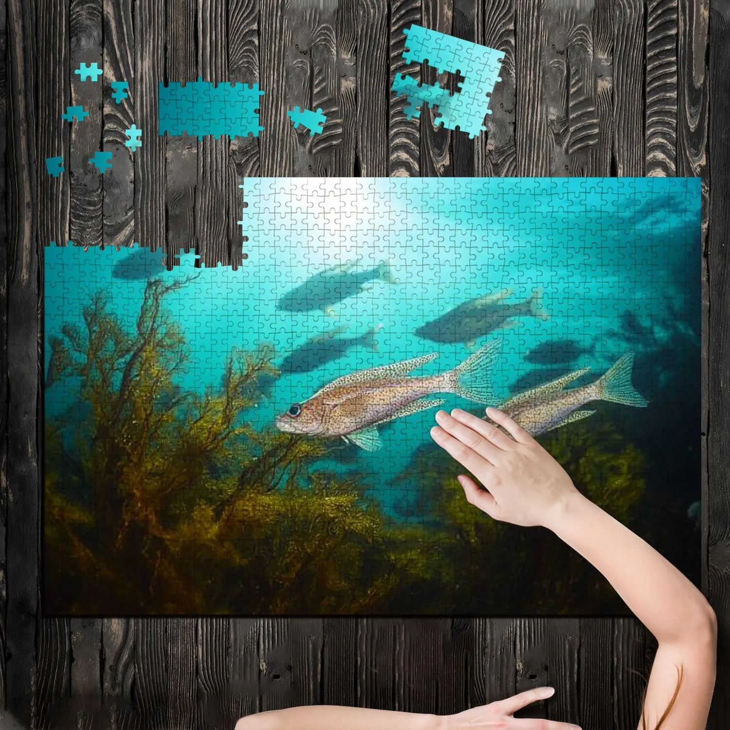Puzzles for Adults 1000 Pieces Sunlight Underwater Bogue Fish Ocean Atlantic Wooden Jigsaw Puzzles Challenging Fun Educational Family Games Kid Toys Art Work Gift Home Decor
