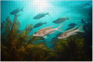 Puzzles for Adults 1000 Pieces Sunlight Underwater Bogue Fish Ocean Atlantic Wooden Jigsaw Puzzles Challenging Fun Educational Family Games Kid Toys Art Work Gift Home Decor