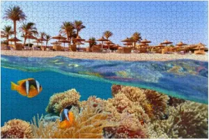 Puzzles for Adults 1000 Pieces Tropical Coral Reef Clown Fish sea Anemone Beach Palms Sun umbrelas Wooden Jigsaw Puzzles Challenging Fun Educational Family Games Kid Toys Art Work Gift Home Decor