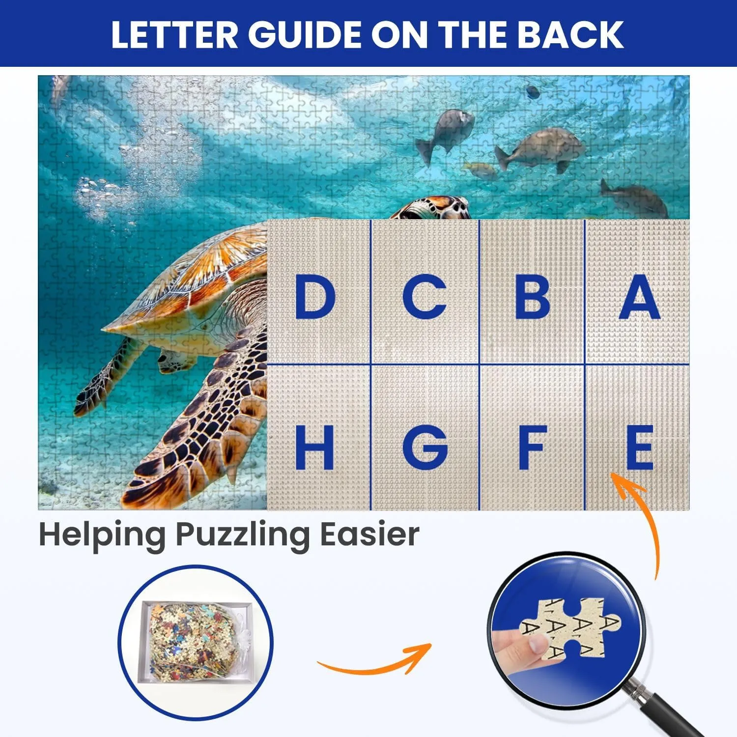 Puzzles for Adults 1000 Pieces Turtle Closeup School Fish Wooden Jigsaw Puzzles Challenging Fun Educational Family Games Kid Toys Art Work Gift Home Decor