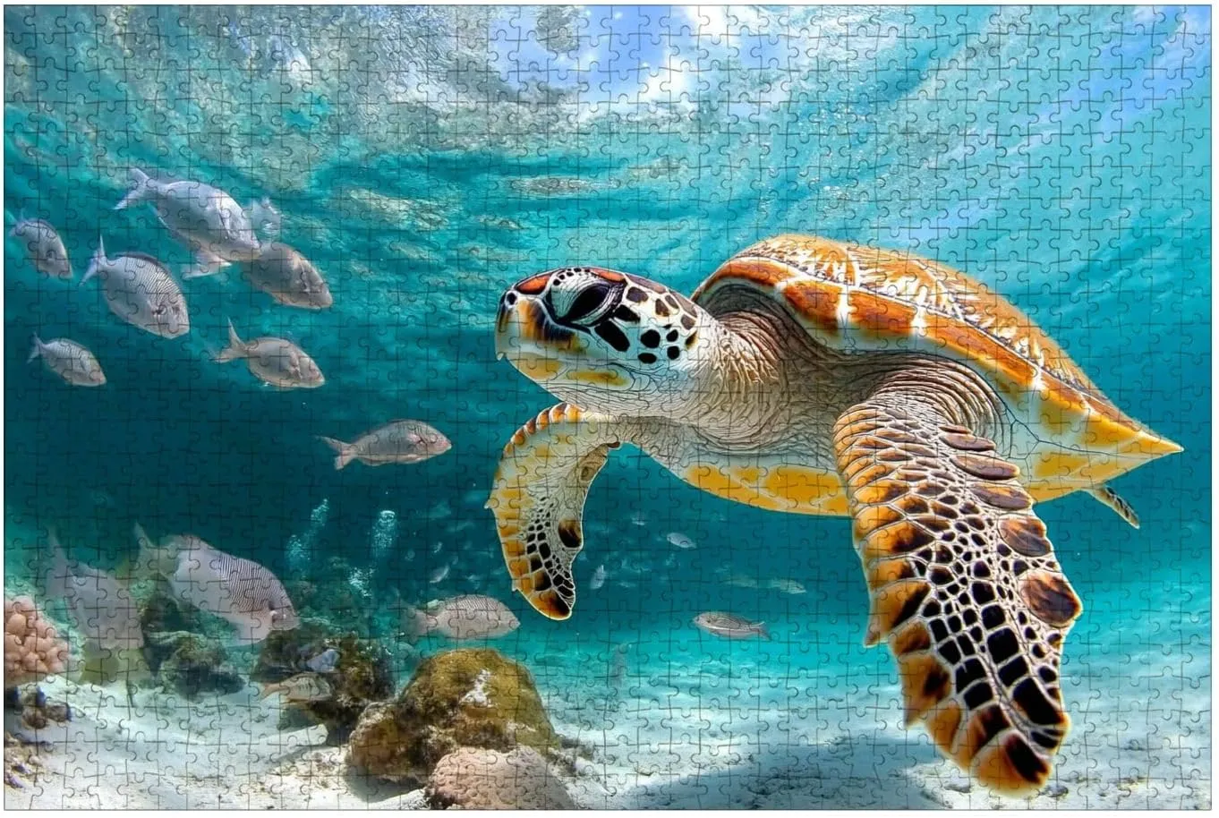 Puzzles for Adults 1000 Pieces Turtle Closeup School Fish Wooden Jigsaw Puzzles Challenging Fun Educational Family Games Kid Toys Art Work Gift Home Decor