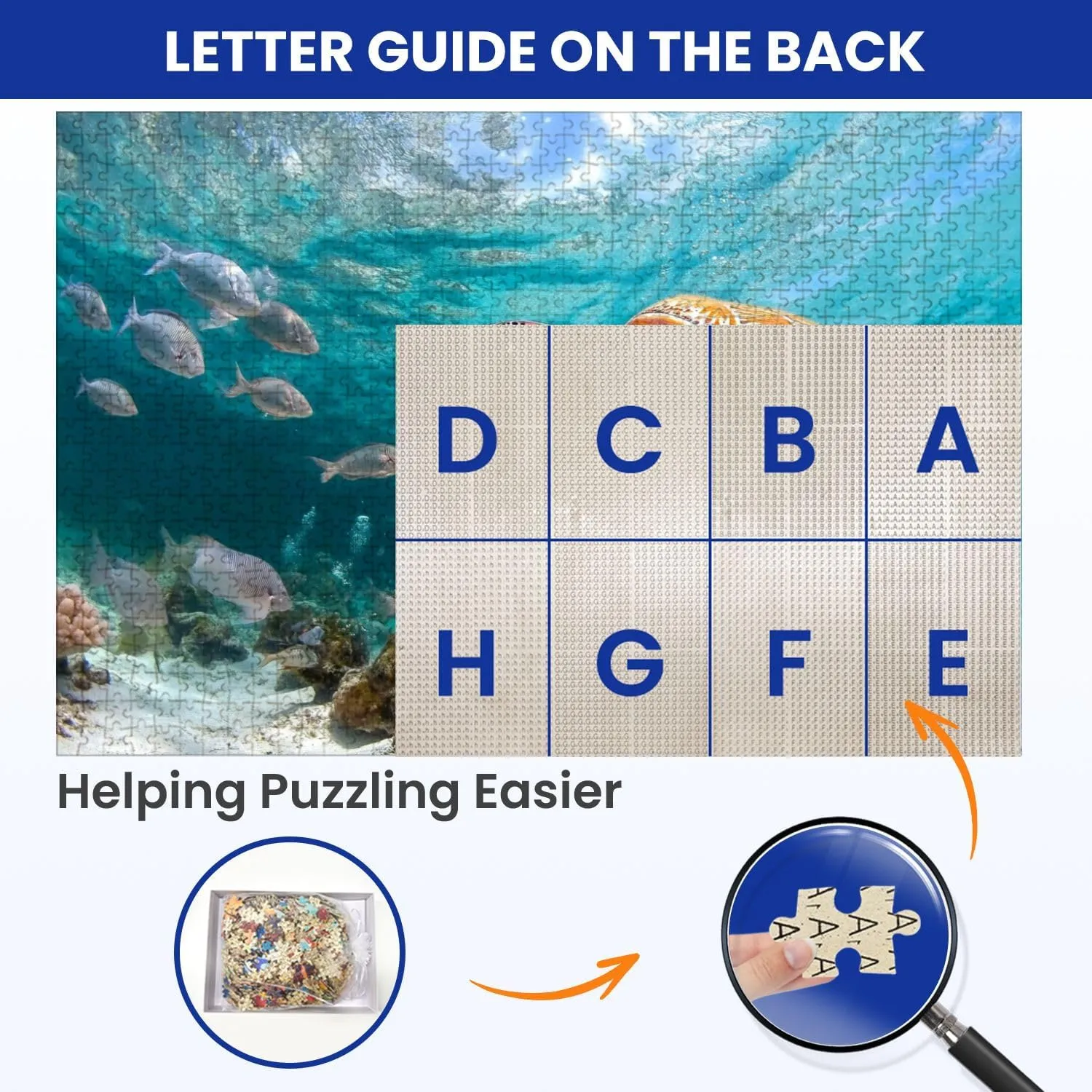 Puzzles for Adults 1000 Pieces Turtle Closeup School Fish Wooden Jigsaw Puzzles Challenging Fun Educational Family Games Kid Toys Art Work Gift Home Decor