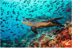 Puzzles for Adults 1000 Pieces Turtle Tons Fish Wooden Jigsaw Puzzles Challenging Fun Educational Family Games Kid Toys Art Work Gift Home Decor