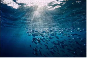 Puzzles for Adults 1000 Pieces Underwater Wild World Tuna Fishes Wooden Jigsaw Puzzles Challenging Fun Educational Family Games Kid Toys Art Work Gift Home Decor