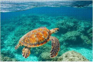 Puzzles for Adults 1000 Pieces Young Sea Turtle Swiming Crystal Natural Wooden Jigsaw Puzzles Challenging Fun Educational Family Games Kid Toys Art Work Gift Home Decor
